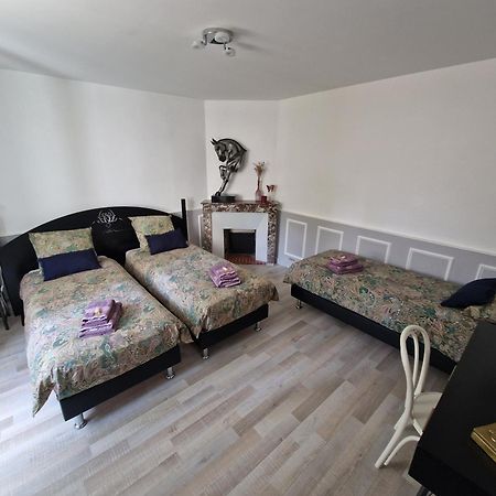 פונטנבלו Bleautiful "Alienor" Charmant Appartement Avec Terrasse מראה חיצוני תמונה